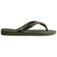 Havaianas Brasil Logo